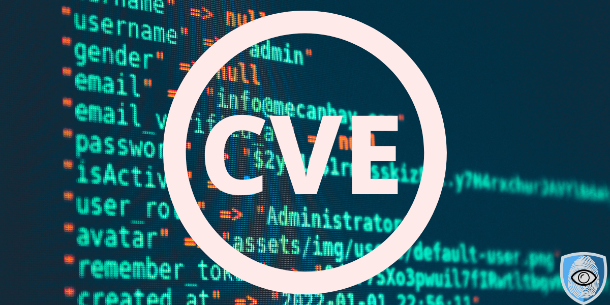 CVE – Kompleksowy Przewodnik Po Lukach Bezpieczeństwa