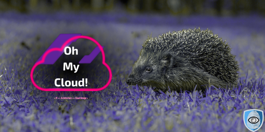 OhMyCloud! – Dokąd Tupta Nocą CyberSec Expert?